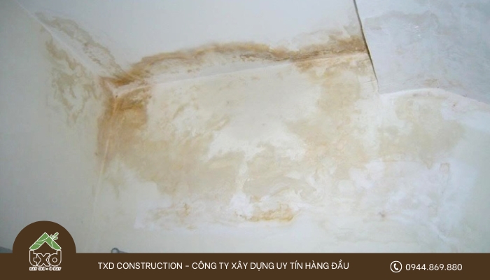 Trần nhà bị thấm dẫn đến nấm mốc, mùi hôi khó chịu và mất thẩm mỹ 